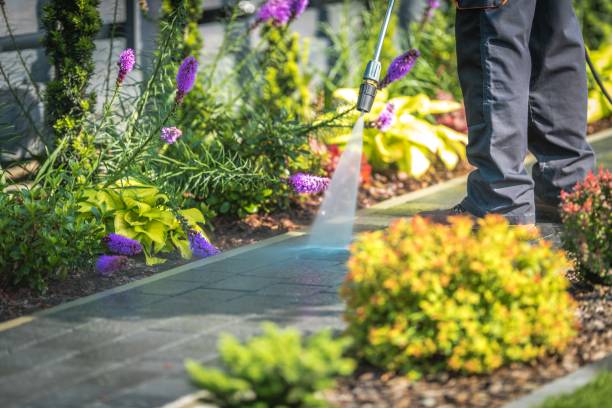 Best Winterizing Services  in Sandy Springs, SC